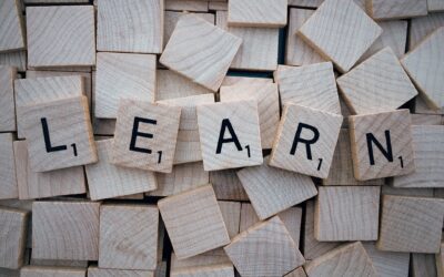 The Steeple Newsletter, November 10, 2021