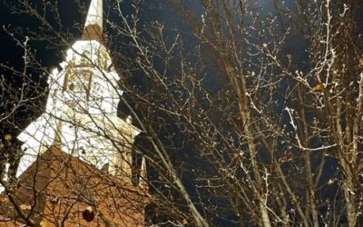 The Steeple Newsletter, December 29, 2021