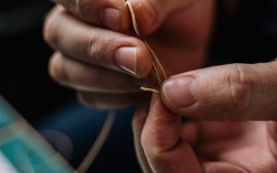 The Steeple Newsletter, February 2, 2022