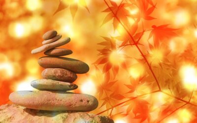 The Steeple Newsletter