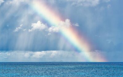 The Steeple Newsletter, May 25, 2022