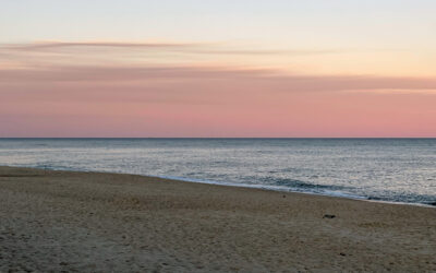 The Steeple Newsletter