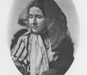 The Steeple Newsletter