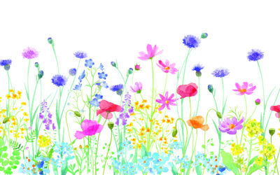 The 2023 FRS Annual Report