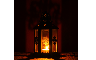 Serenity in the Sanctuary