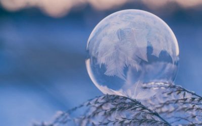 Celebrate the Winter Solstice on Plum Island