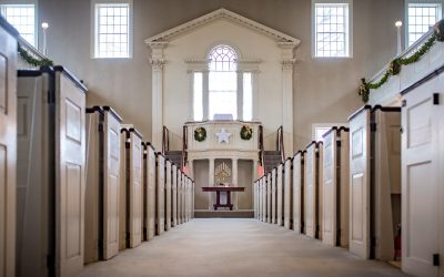 Serenity in the Sanctuary